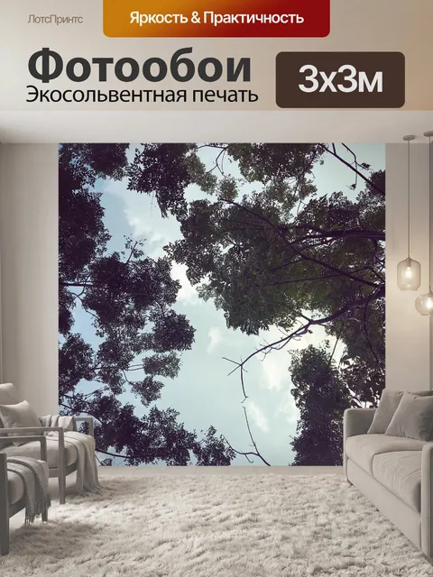 Фотообои Деревья