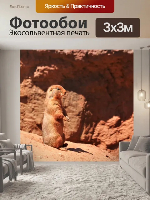 Фотообои Собака прерии, сидящая на насыпи грязи