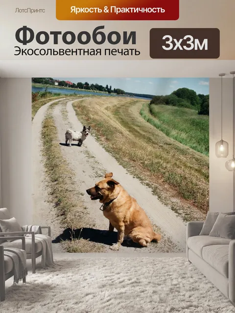 Фотообои Собаки на дороге