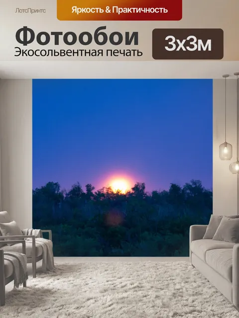 Фотообои Спокойной ночи