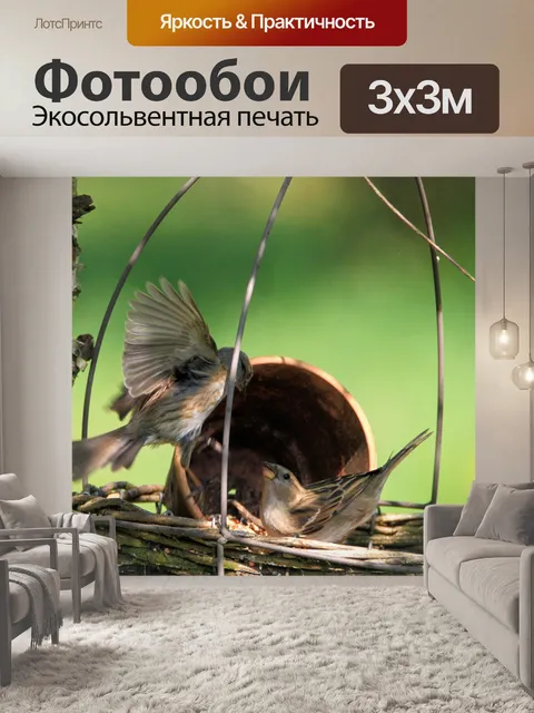 Фотообои Птицы