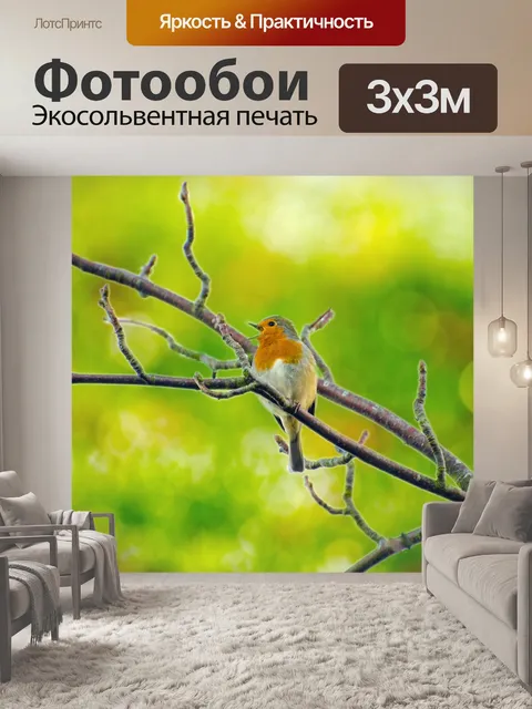 Фотообои Птица