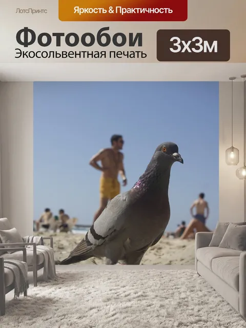 Фотообои Птица