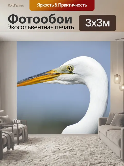 Фотообои Большая белая цапля