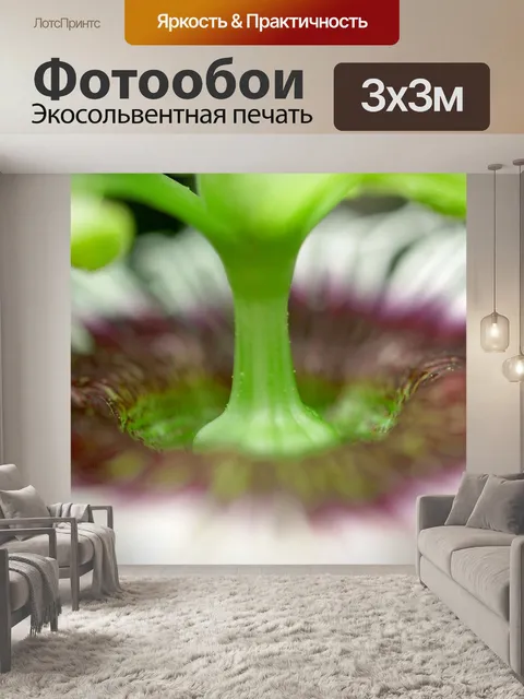 Фотообои Цветок маракуйи фото