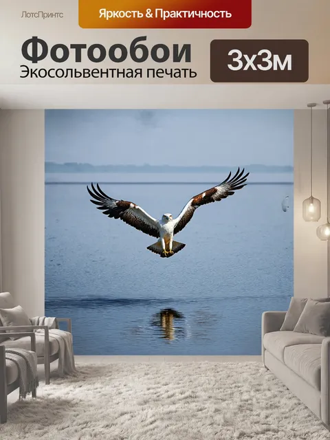 Фотообои белоплечий орлан, летящий над спокойной поверхностью озера, отражающий в воде свои мощные крылья, снятый с…