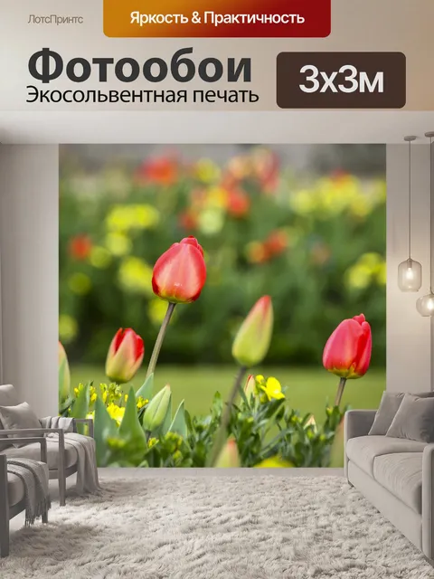Фотообои Тюльпаны