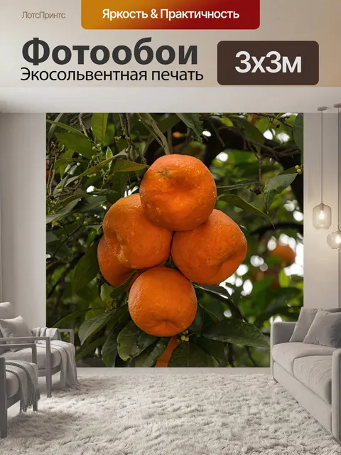 Фотообои Фрукты