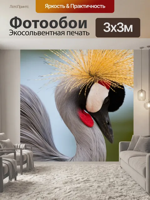 Фотообои Птица