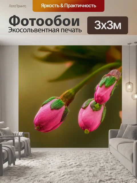 Фотообои Цветы