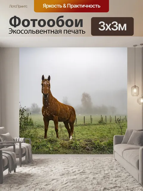 Фотообои Лошадь