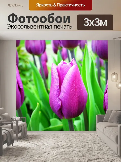 Фотообои Тюльпаны