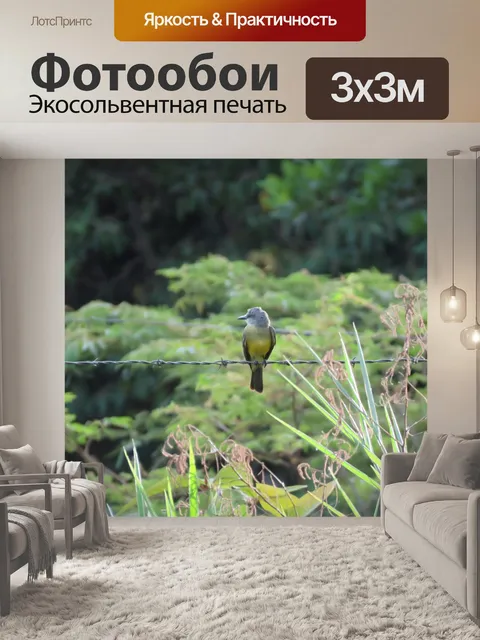 Фотообои Птицы
