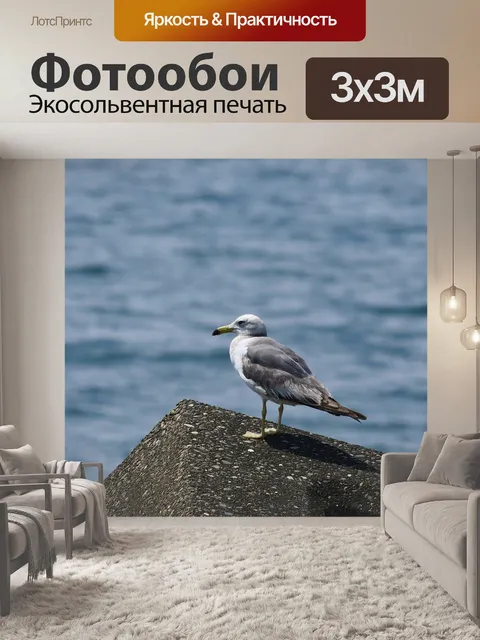 Фотообои Животное