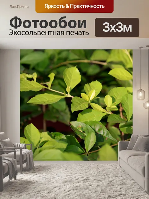 Фотообои Дикая лоза листья