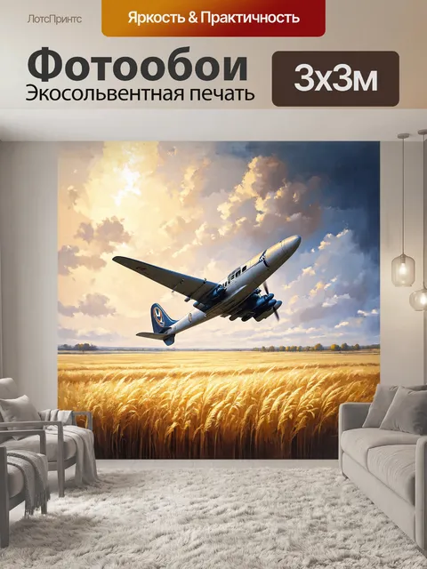 Фотообои самолет победы, величественно парящий над пейзажем, овеянным легким туманом, создает атмосферу тайны и величия
