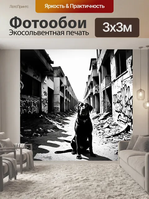 Фотообои черный лабрадор, сидящий на фоне заброшенных зданий, покрытых граффити, вызывает чувство ностальгии