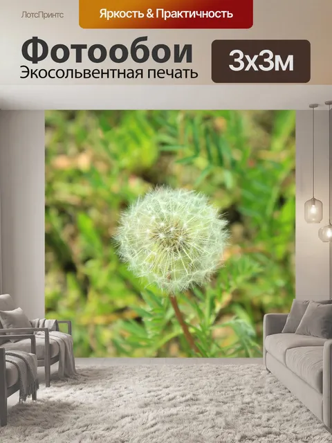 Фотообои Природа