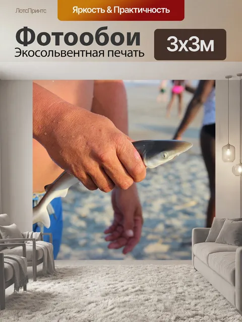 Фотообои Акула