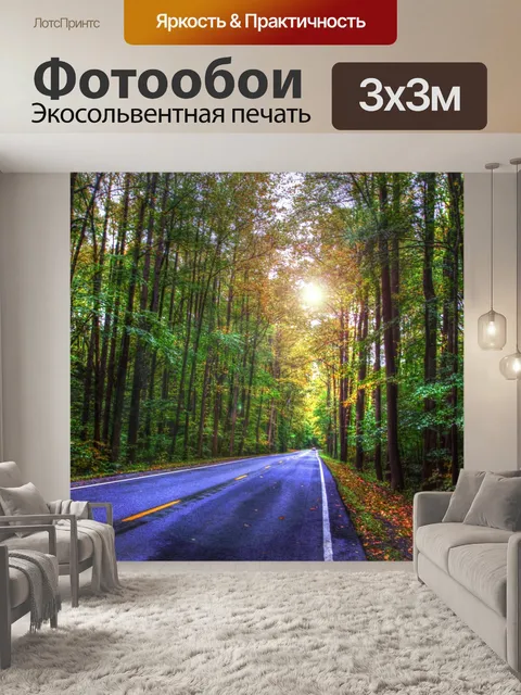 Фотообои Лесная дорога
