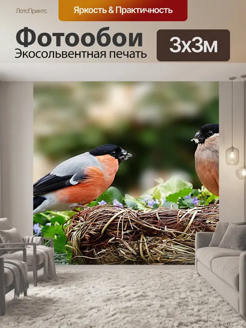Фотообои Животное