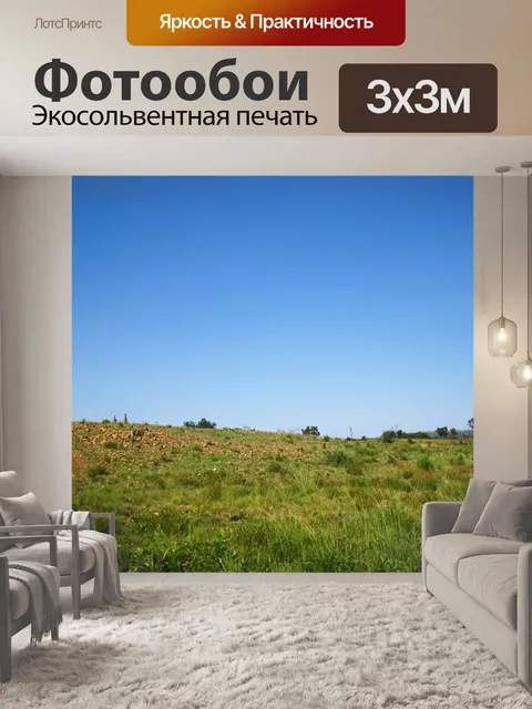 Фотообои несколько далеких зебр Берчелла