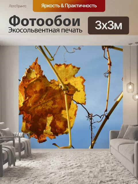 Фотообои Лист