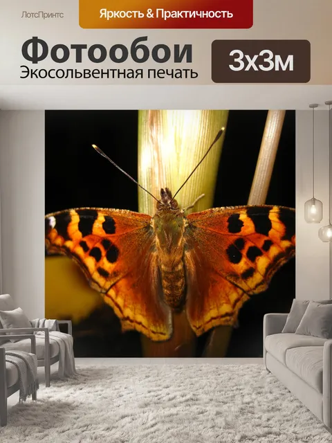 Фотообои Бабочки