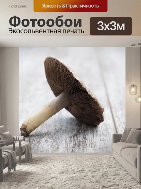 Фотообои Гриб