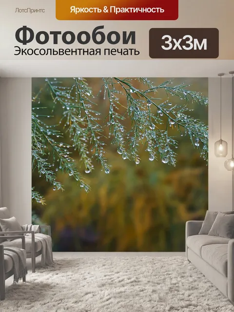 Фотообои Дождь