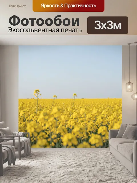 Фотообои Поле желтого рапса под небом