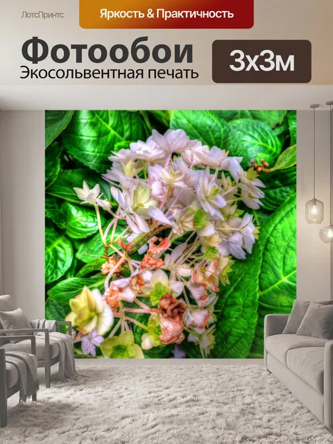 Фотообои Розовые цветы