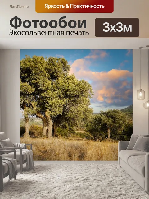 Фотообои Оливковые деревья