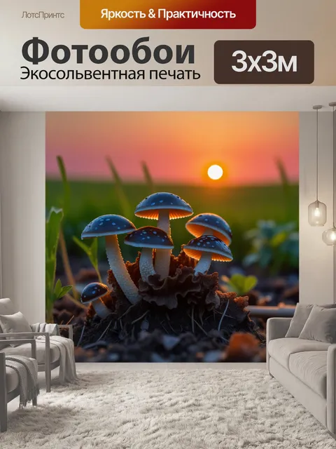 Фотообои грибы на фоне заката