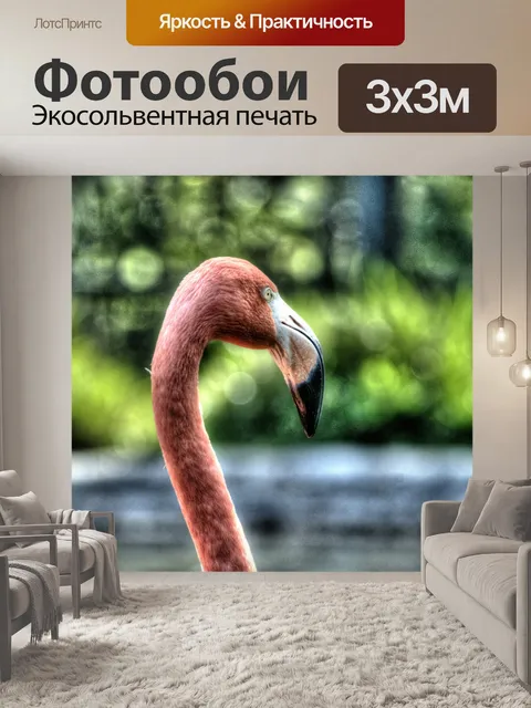 Фотообои Фламинго