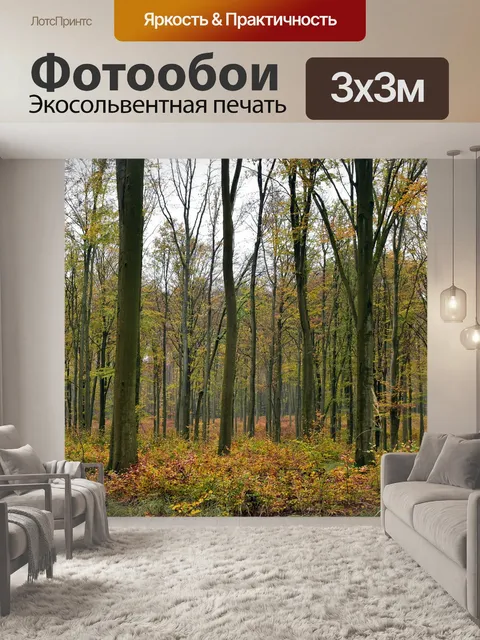 Фотообои Лес