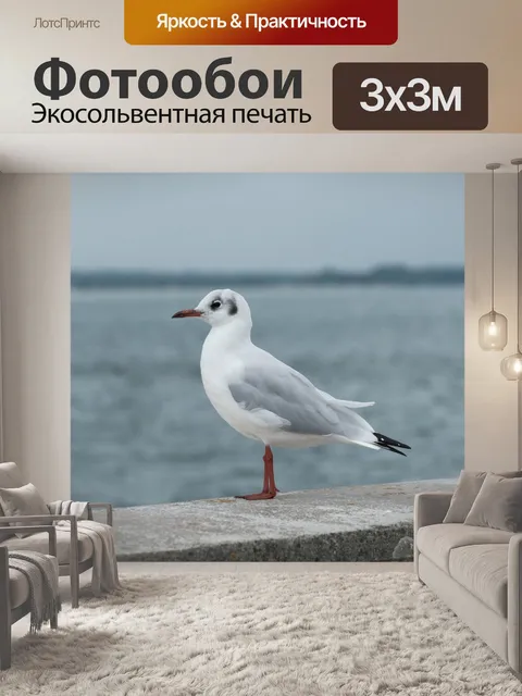 Фотообои Черноголовая чайка