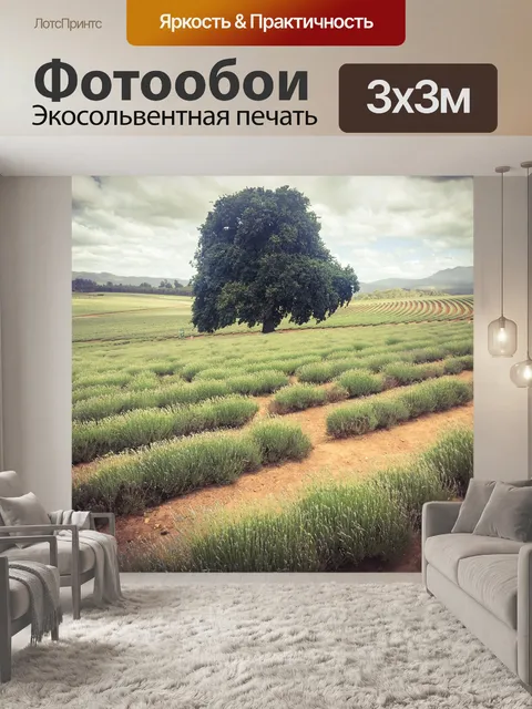 Фотообои Лаванда