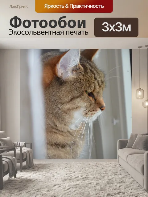 Фотообои Кошка