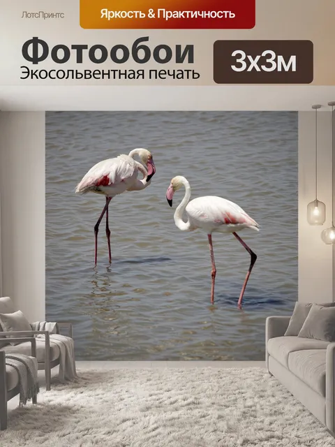 Фотообои Фламинго