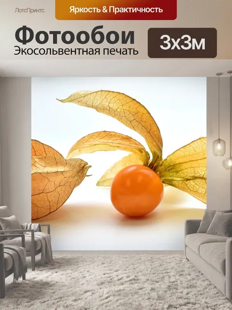 Фотообои Физалис
