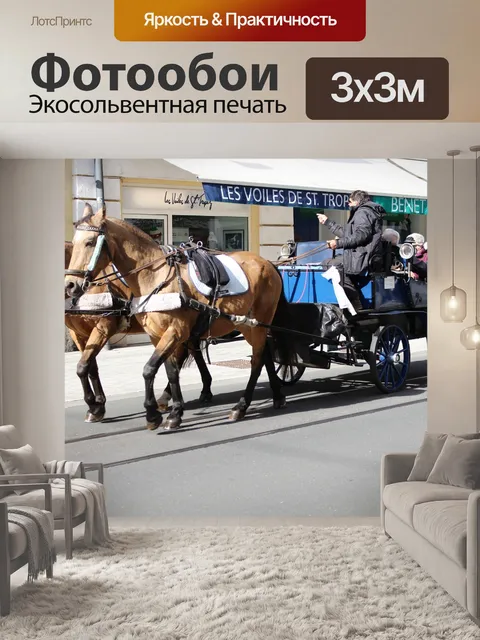 Фотообои Тренер