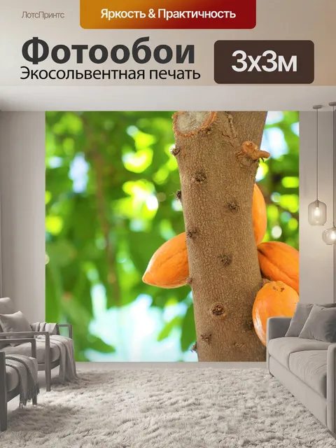 Фотообои Фрукты