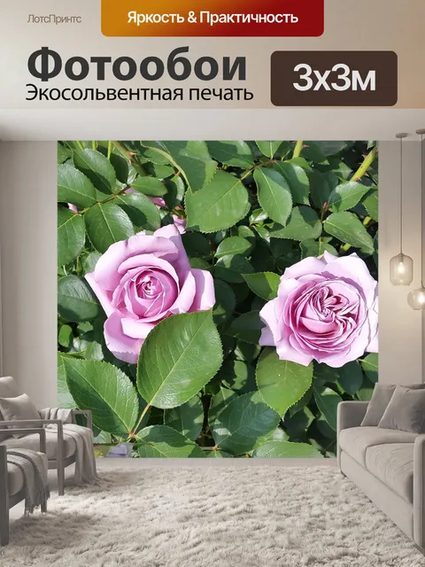 Фотообои Розы