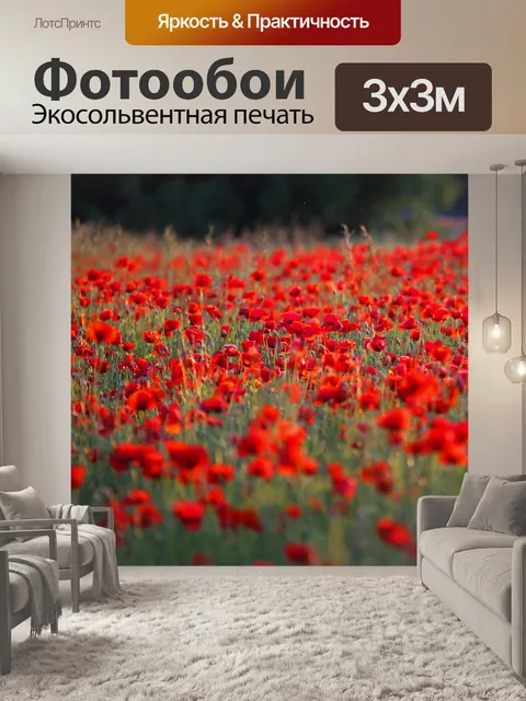 Фотообои Цветы мака цветут