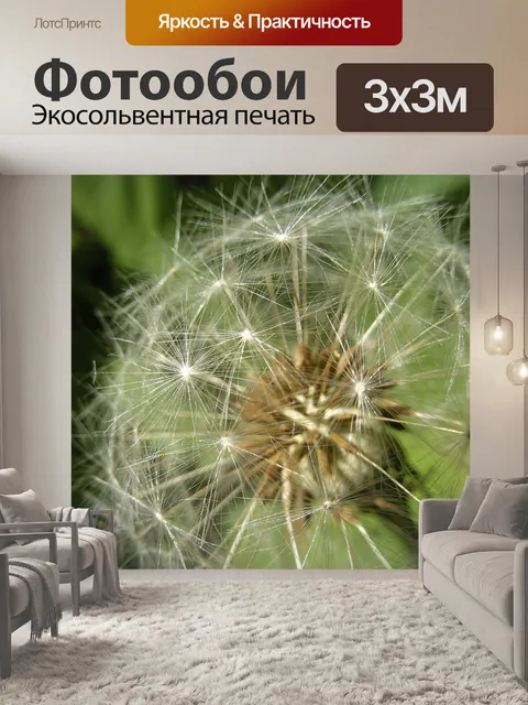 Фотообои Одуванчик