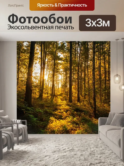 Фотообои заросший лес на закате, с золотыми оттенками и длинными тенями