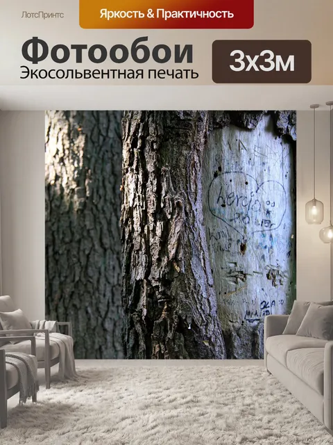 Фотообои Деревья