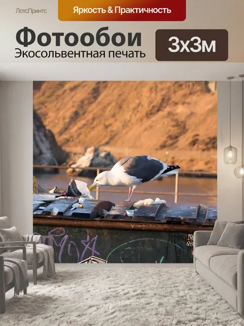 Фотообои Чайка