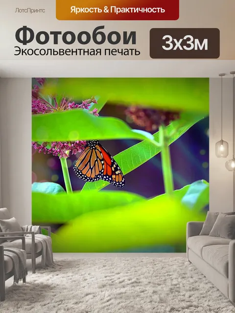 Фотообои Монарх